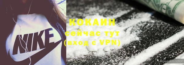 индика Михайловка