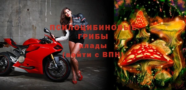 прущая мука Надым