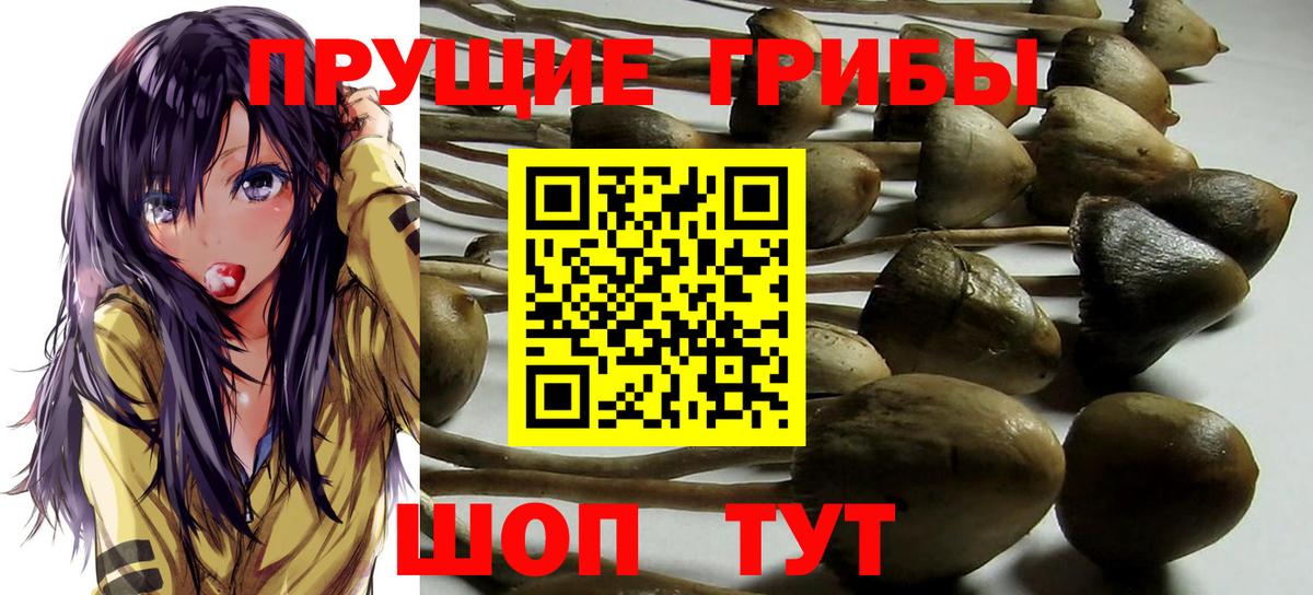 купить закладку  Вход с VPN  Учалы  Галлюциногенные грибы мухоморы  Галлюциногенные грибы мухоморы 