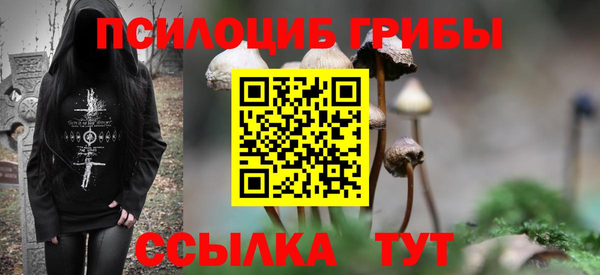 Псилоцибиновые грибы Cubensis Учалы
